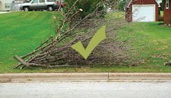 Correct Brush Pile