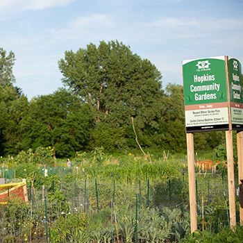 Hopkins community gardens